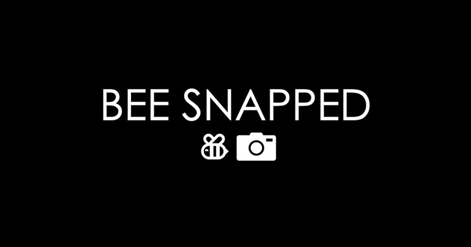 Bee Snapped project logo